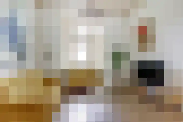 Parklaan 15 Enkhuizen thumbnail 7