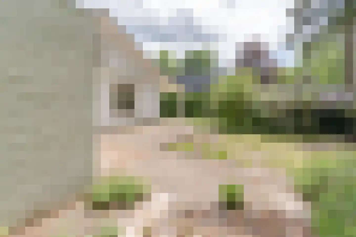 Parklaan 15 Ermelo thumbnail 37