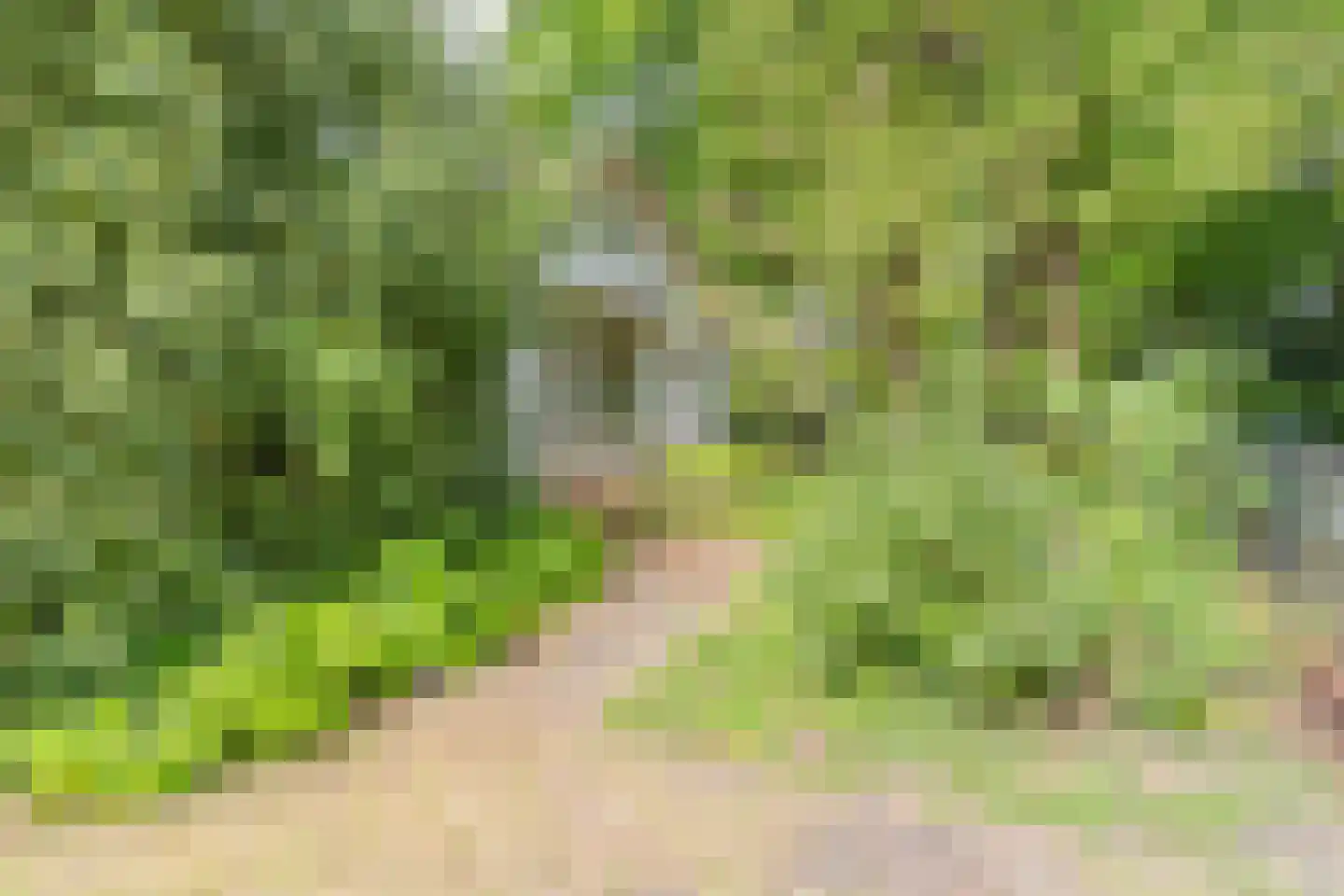 Parklaan 15 Ermelo thumbnail 39