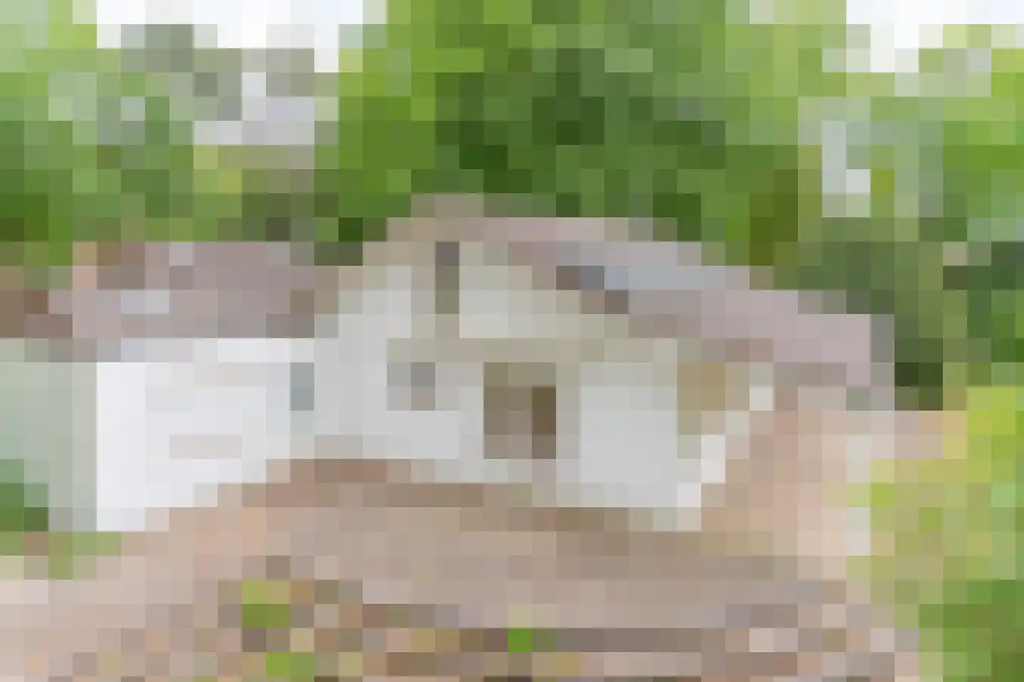 Parklaan 15 Ermelo thumbnail 4