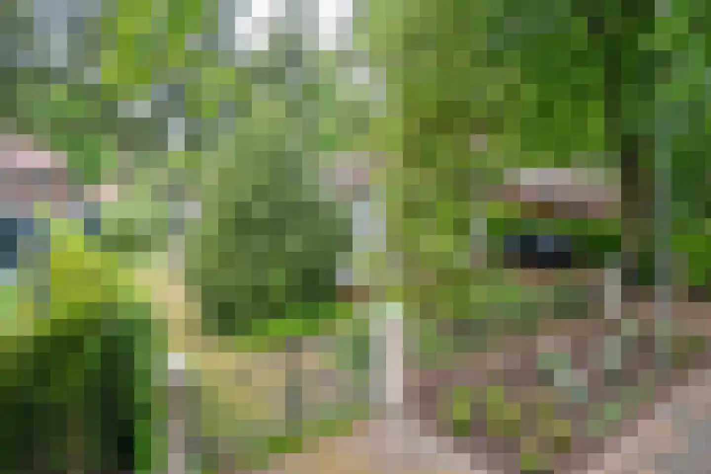 Parklaan 15 Ermelo thumbnail 40