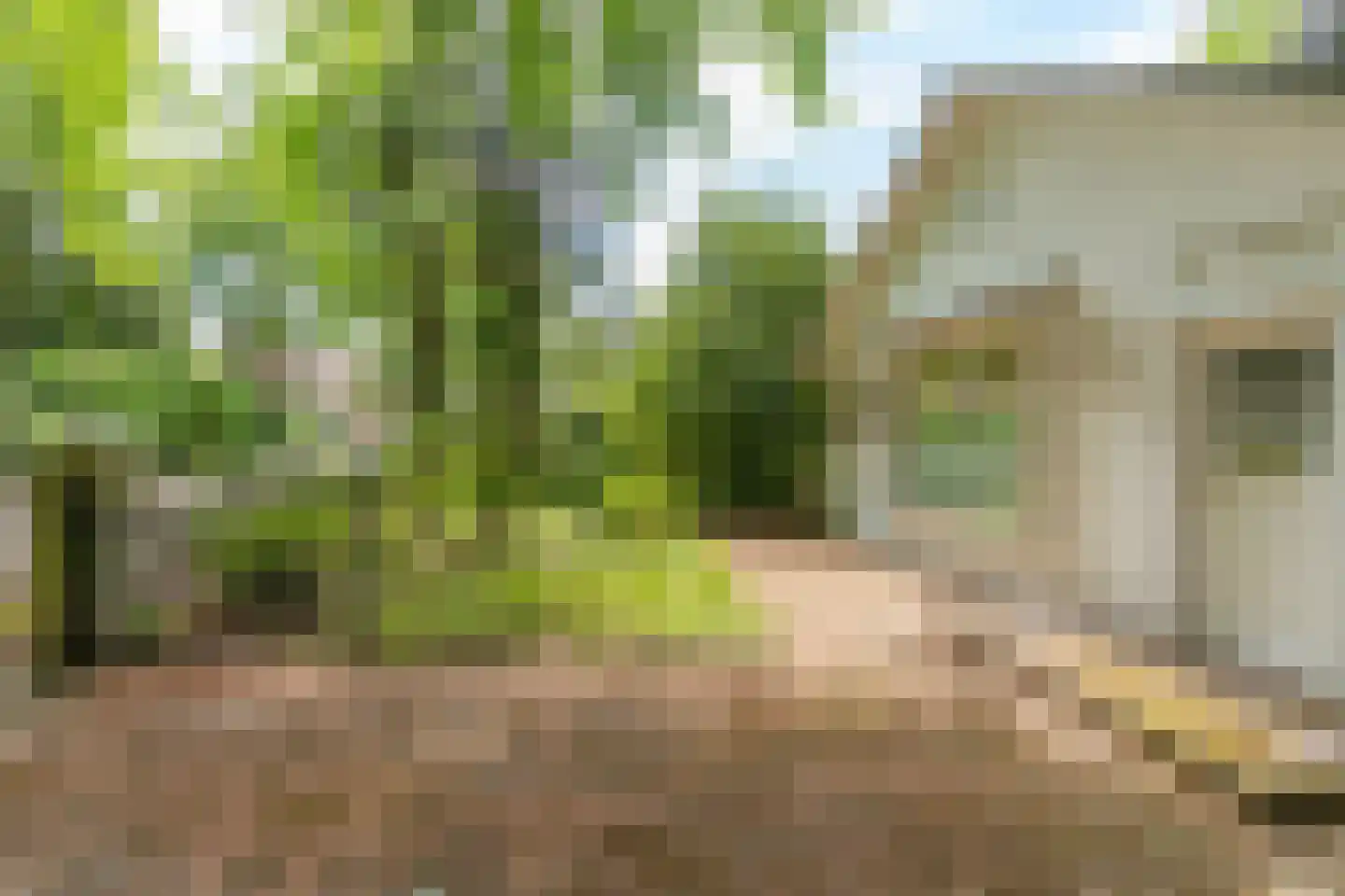 Parklaan 15 Ermelo thumbnail 44