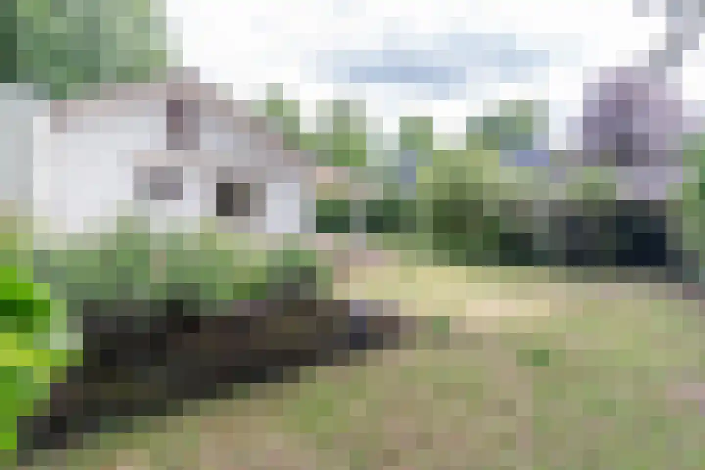 Parklaan 15 Ermelo thumbnail 6