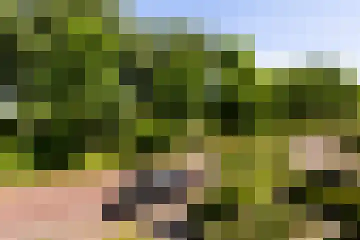 Parklaan 15 Montfoort thumbnail 12