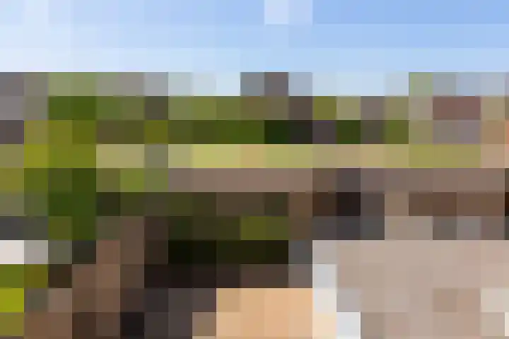 Parklaan 15 Montfoort thumbnail 27