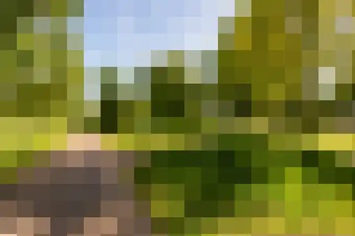 Parklaan 15 Montfoort thumbnail 28
