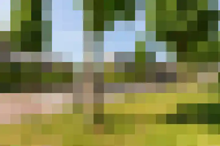 Parklaan 15 Montfoort thumbnail 30