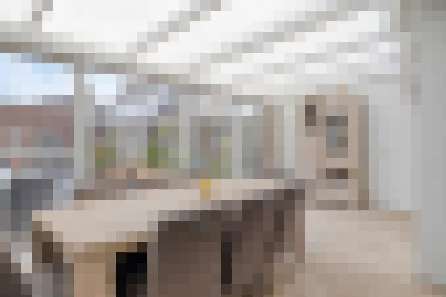 Parklaan 15 Prinsenbeek thumbnail 11