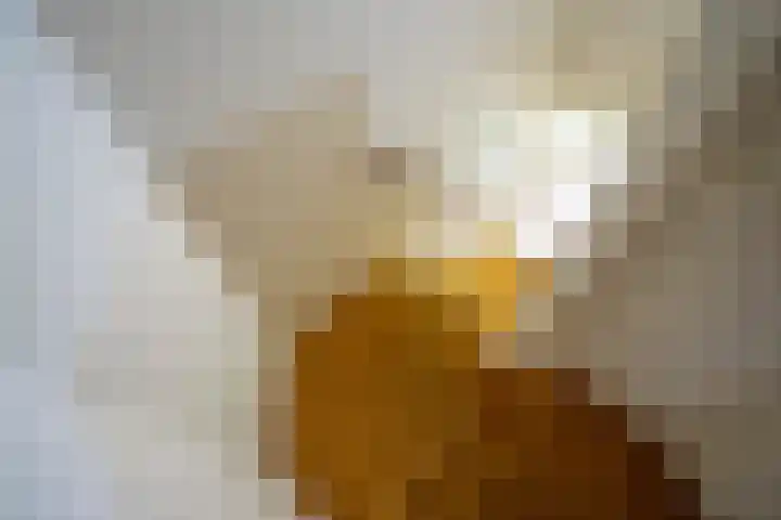 Parklaan 15 Sassenheim thumbnail 10