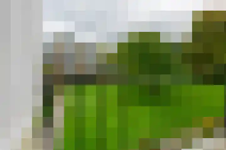Parklaan 15 Sassenheim thumbnail 14
