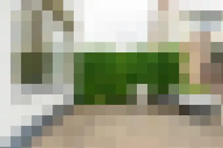 Parklaan 15 Sassenheim thumbnail 18