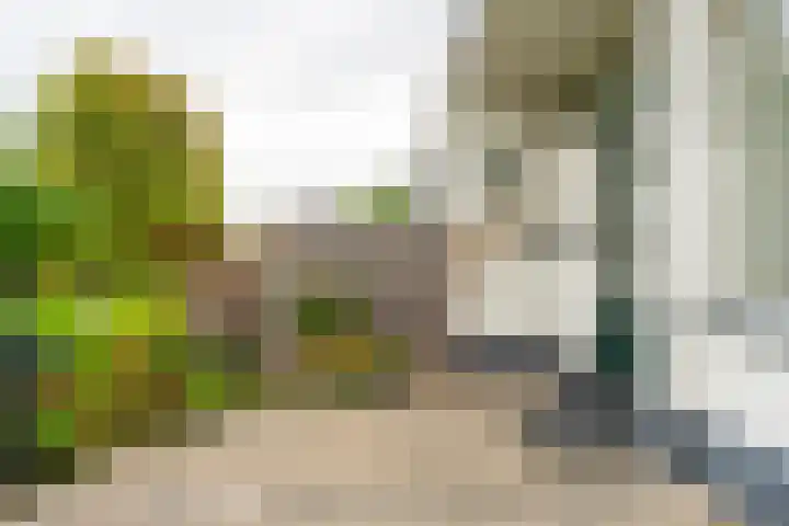 Parklaan 15 Sassenheim thumbnail 19