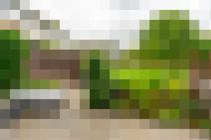 Parklaan 15 Sassenheim thumbnail 20
