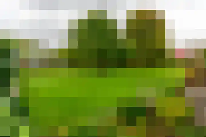 Parklaan 15 Sassenheim thumbnail 21