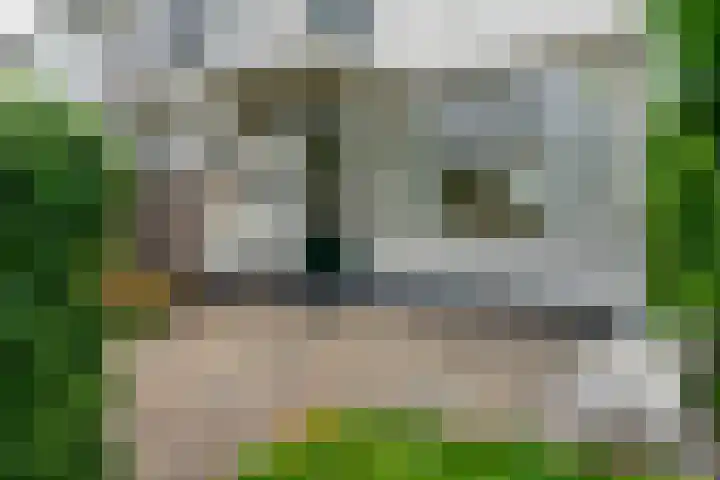 Parklaan 15 Sassenheim thumbnail 22