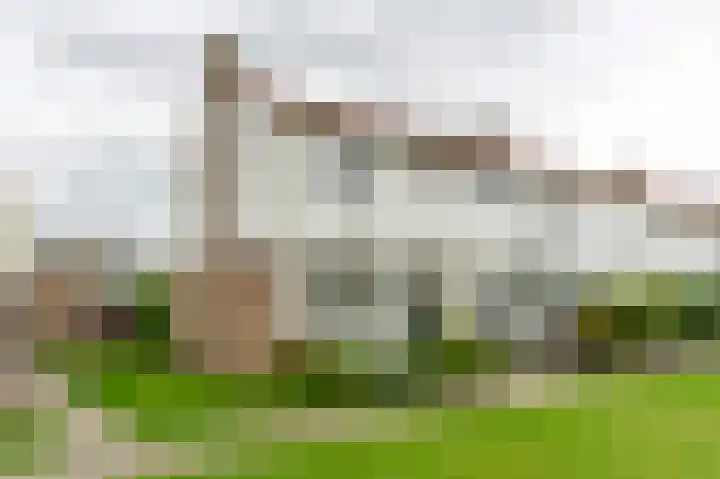Parklaan 15 Sassenheim thumbnail 26