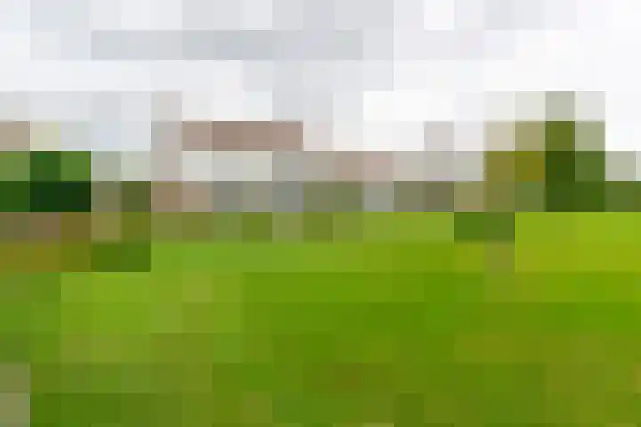 Parklaan 15 Sassenheim thumbnail 27