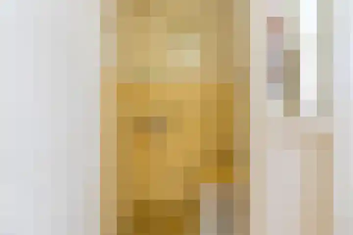 Parklaan 15 Sassenheim thumbnail 8