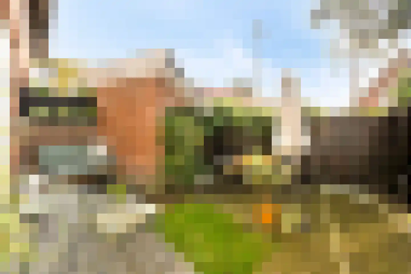 Parklaan 150 Sassenheim thumbnail 11