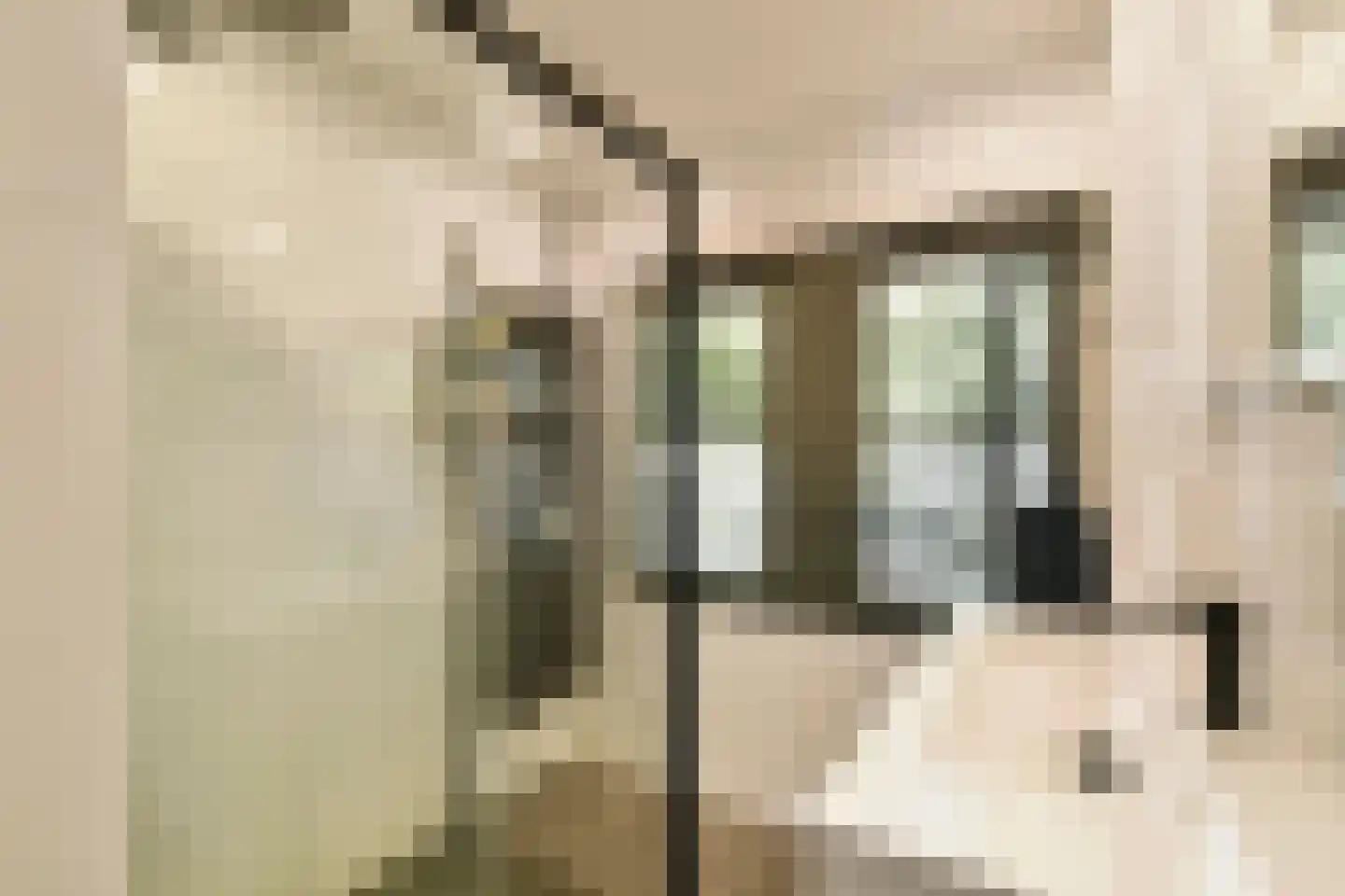 Parklaan 150 Sassenheim thumbnail 23