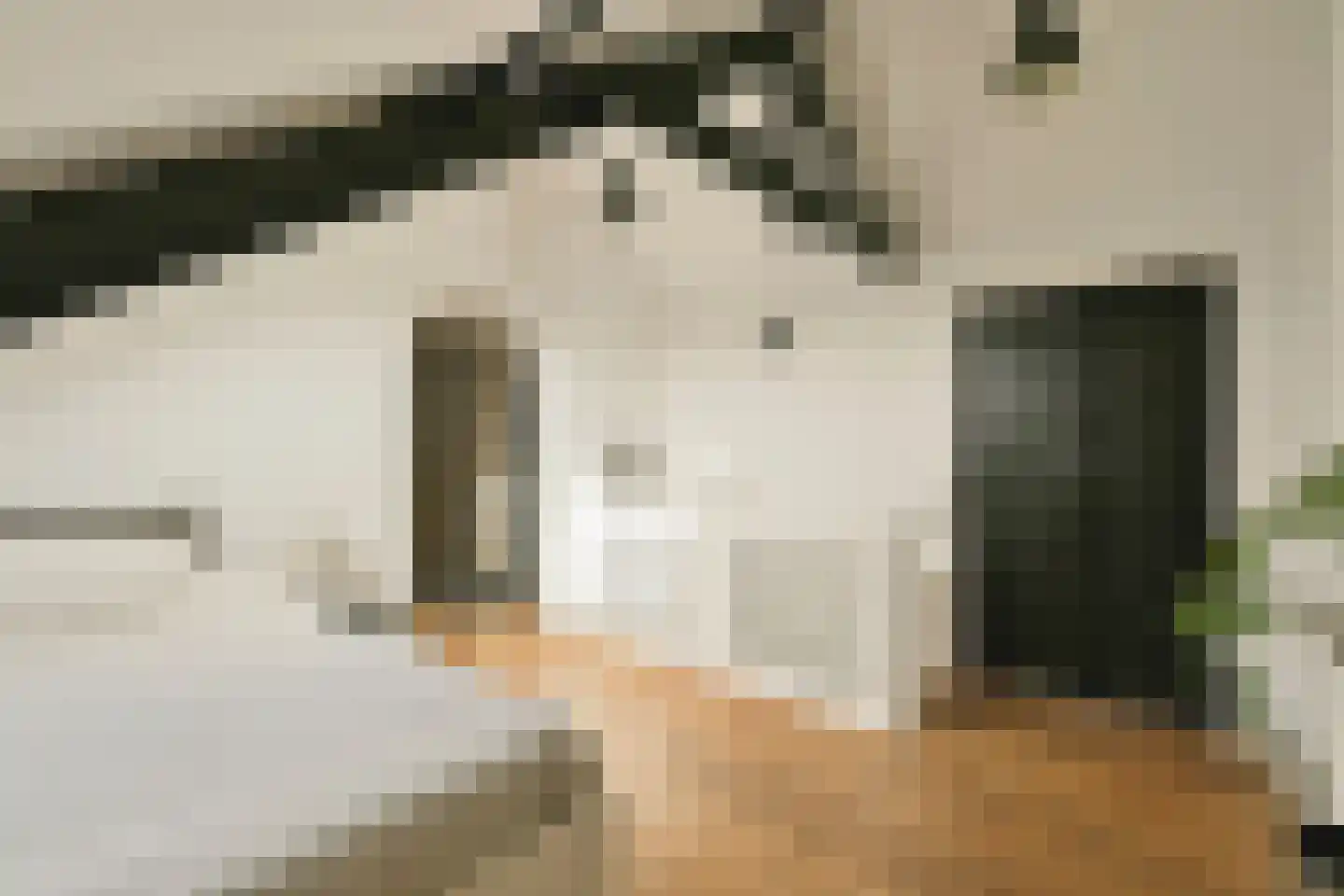 Parklaan 150 Sassenheim thumbnail 25
