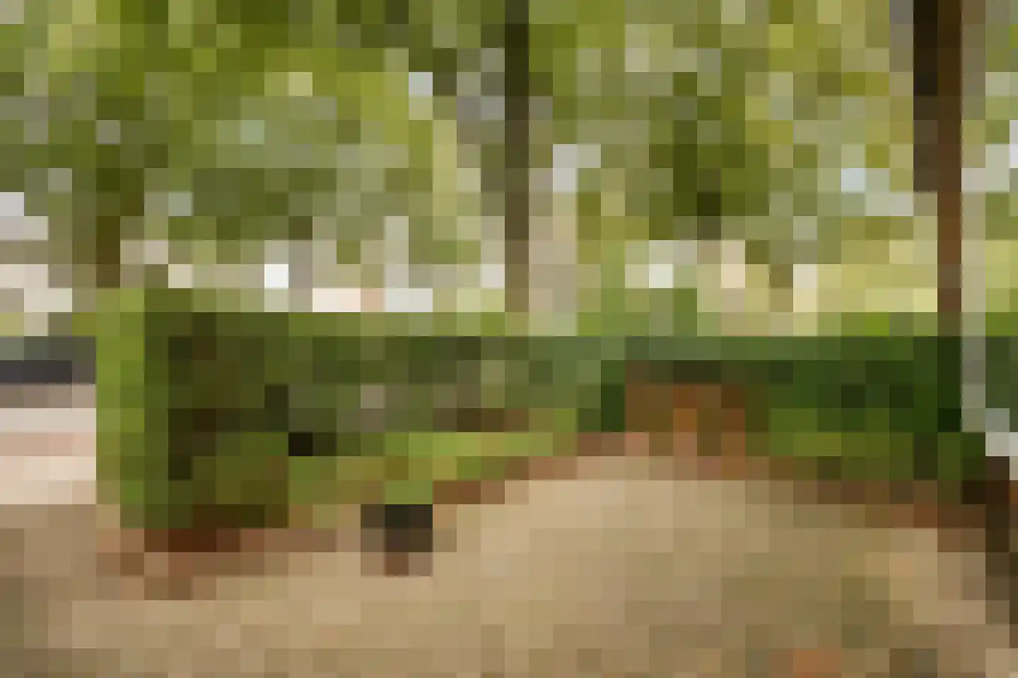 Parklaan 150 Sassenheim thumbnail 31