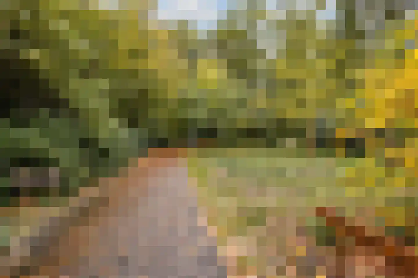 Parklaan 150 Sassenheim thumbnail 34