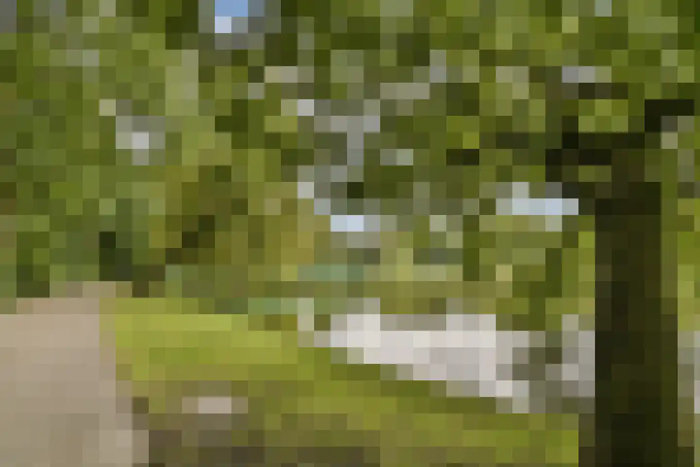 Parklaan 150 Sassenheim thumbnail 35