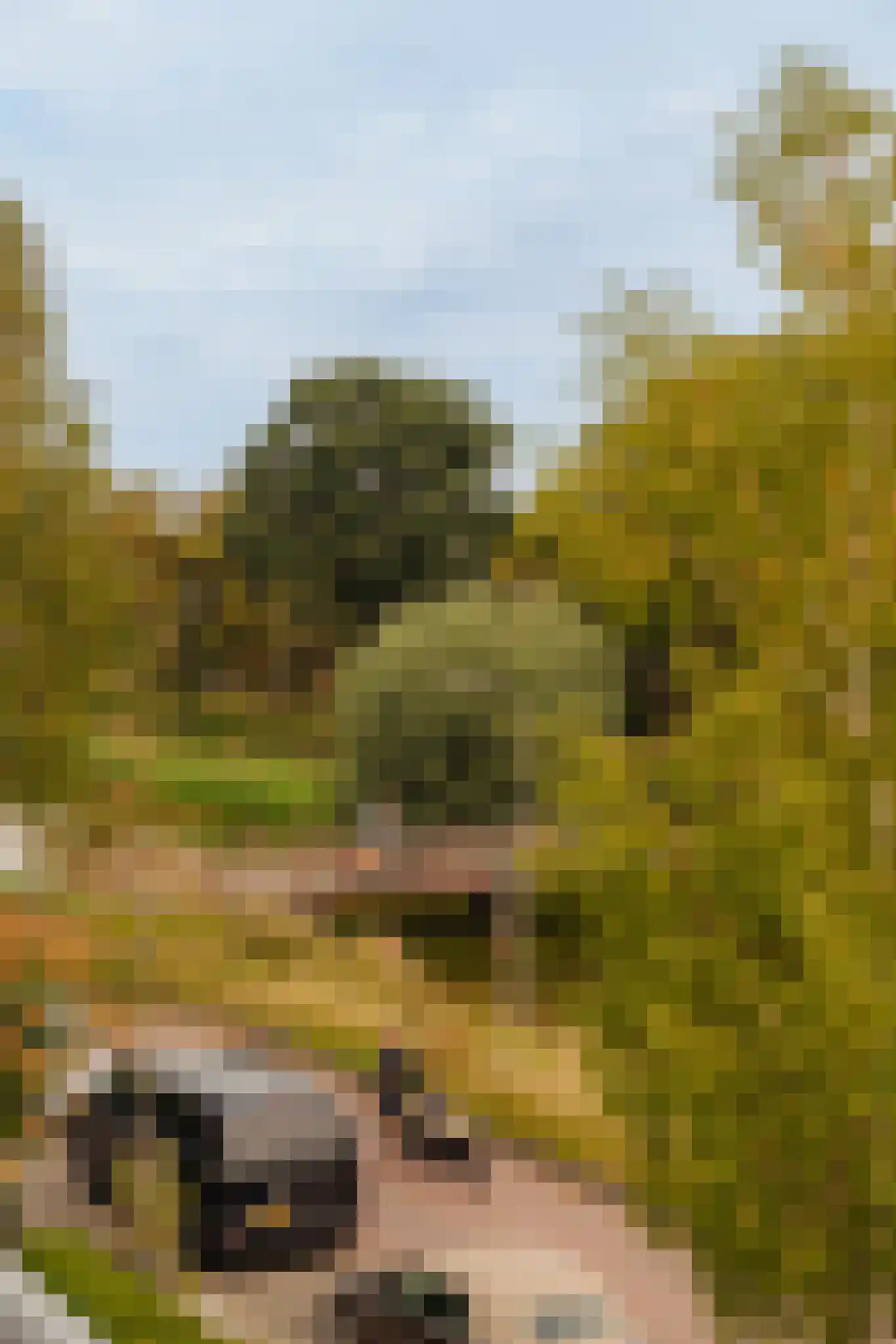 Parklaan 16 Amstelveen thumbnail 12
