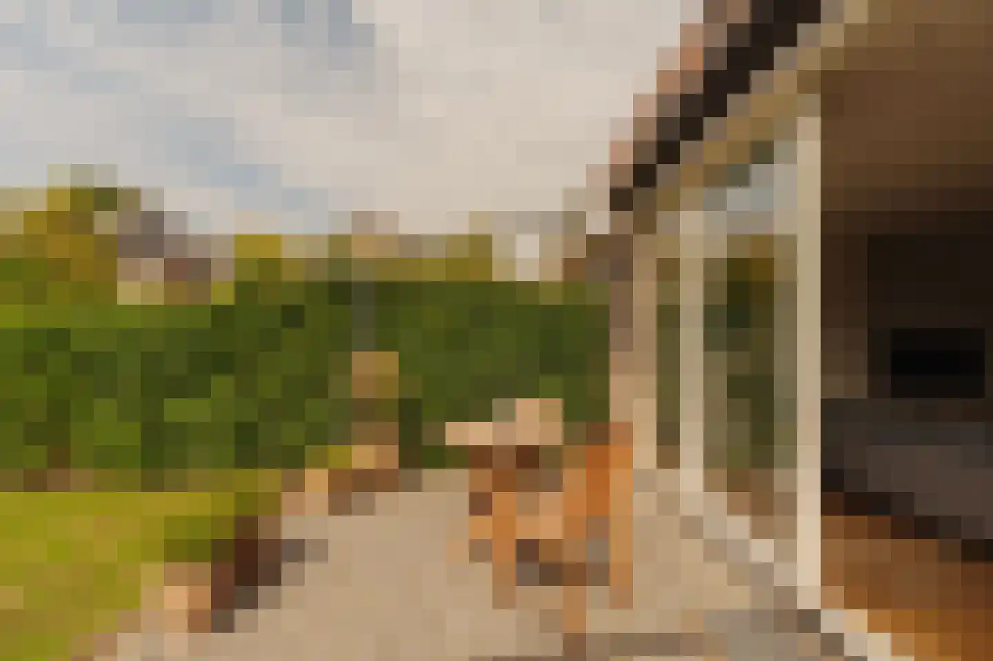 Parklaan 16 Amstelveen thumbnail 13