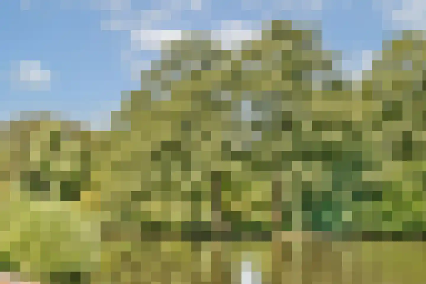 Parklaan 16 Amstelveen thumbnail 34