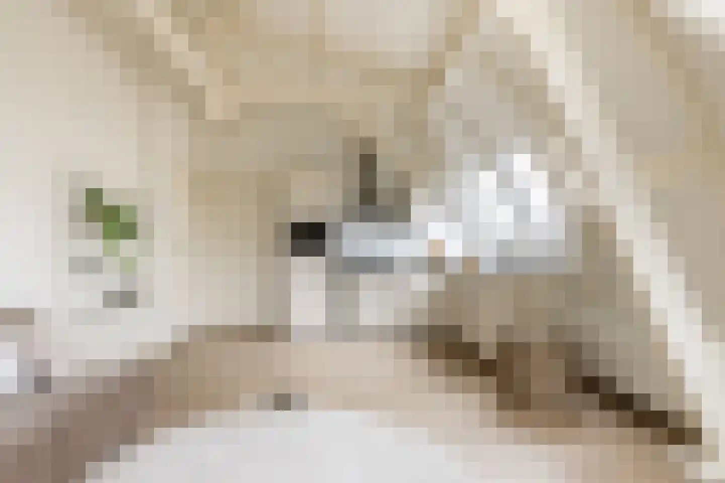 Parklaan 16 E Haarlem thumbnail 9