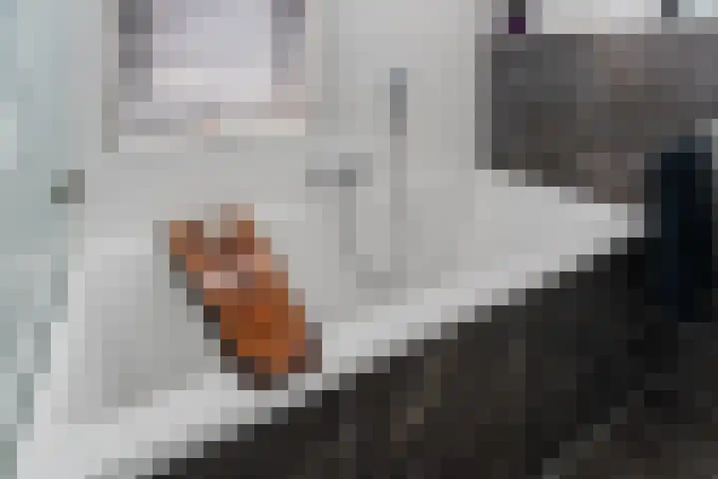 Parklaan 165 Boskoop thumbnail 34