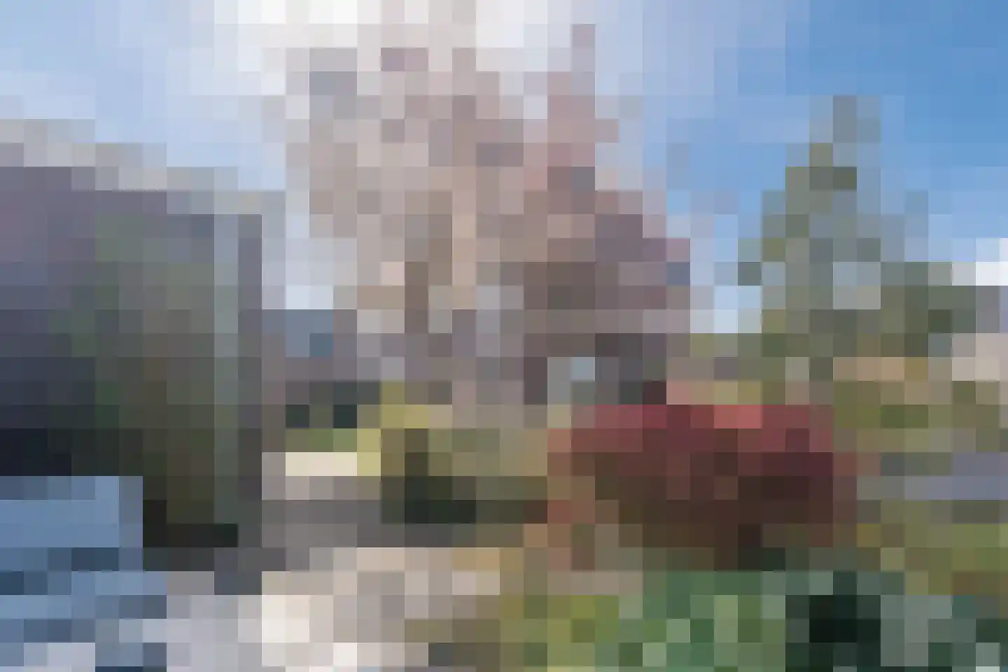 Parklaan 165 Boskoop thumbnail 56
