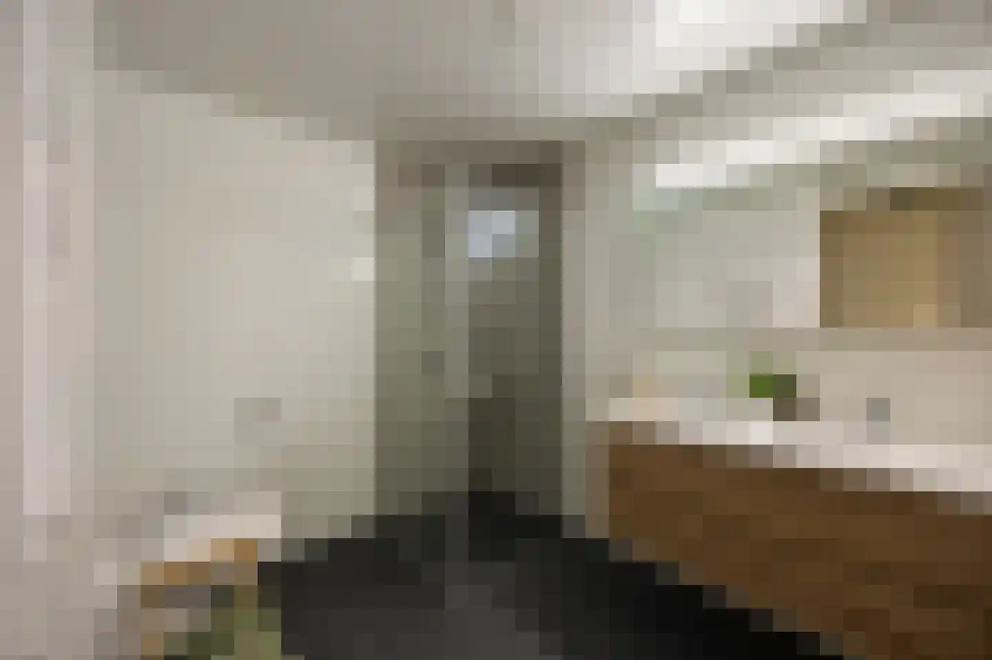 Parklaan 17 f Linne thumbnail 30