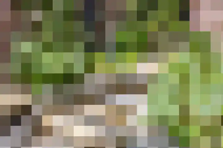 Parklaan 17 IJsselstein thumbnail 43
