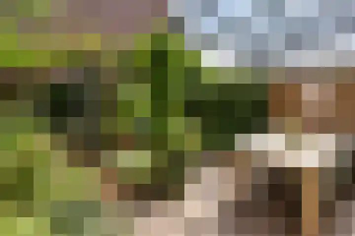 Parklaan 17 IJsselstein thumbnail 6