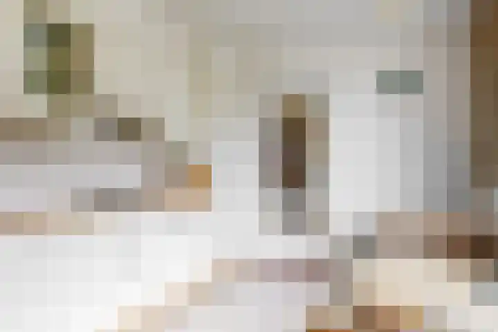 Parklaan 17 Melick thumbnail 15