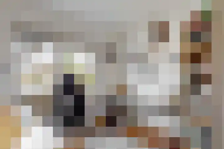 Parklaan 17 Melick thumbnail 21