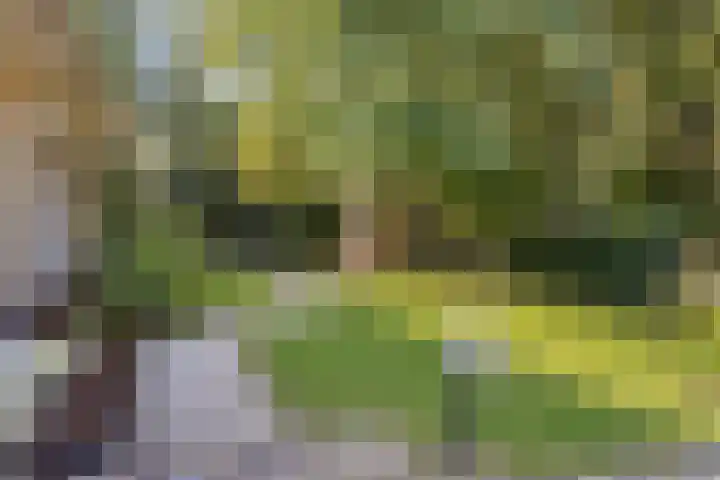 Parklaan 17 Weert thumbnail 57