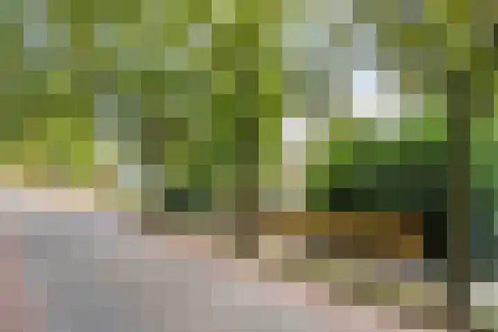 Parklaan 17 Weert thumbnail 73