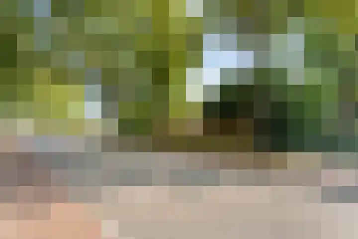 Parklaan 17 Weert thumbnail 74