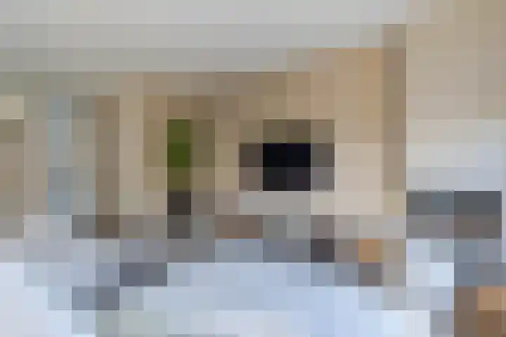 Parklaan 178 Boskoop thumbnail 11