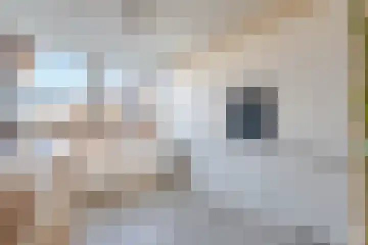 Parklaan 178 Boskoop thumbnail 14
