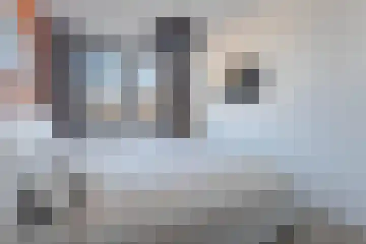 Parklaan 178 Boskoop thumbnail 18