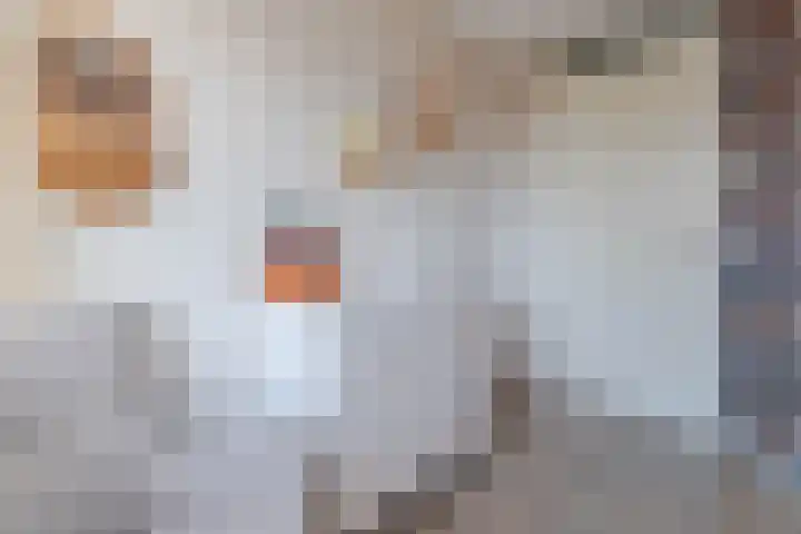 Parklaan 178 Boskoop thumbnail 22
