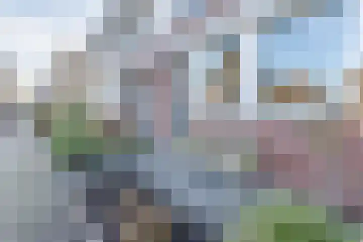 Parklaan 178 Boskoop thumbnail 32
