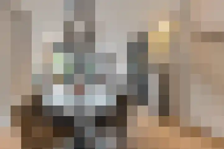 Parklaan 179 Waddinxveen thumbnail 11