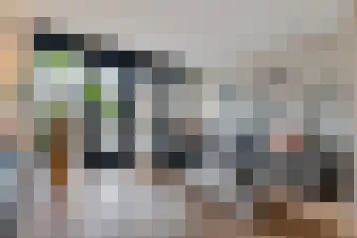 Parklaan 179 Waddinxveen thumbnail 14