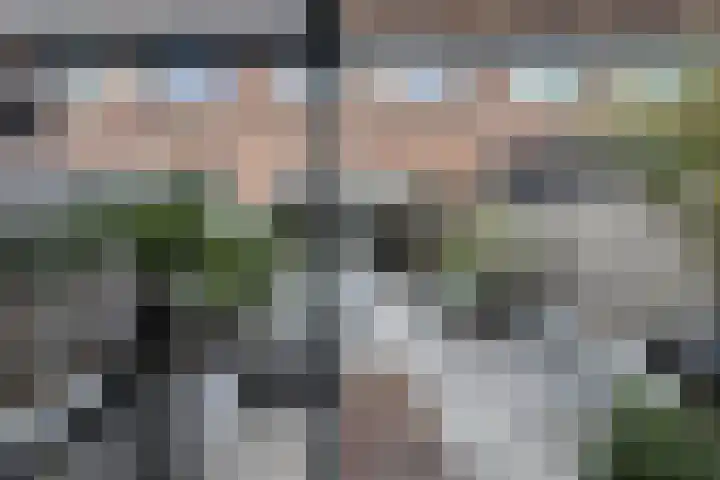 Parklaan 179 Waddinxveen thumbnail 32